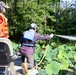 USACE Partners with Local Contractor to Target Invasive Water Chestnut at Lake Brittle in Virginia
