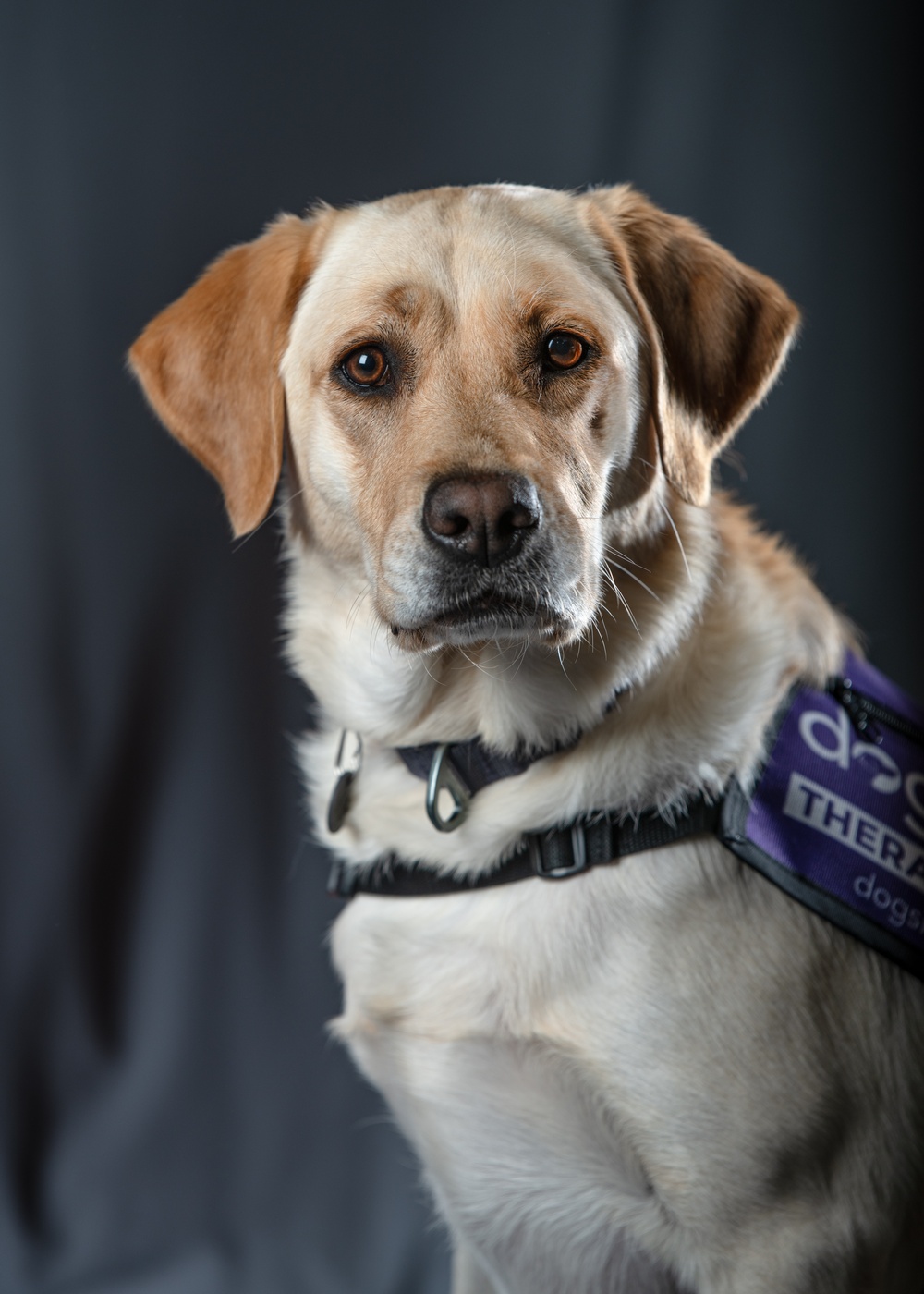 114th Fighter Wing’s new therapy dog lends a pawsitive touch