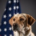 114th Fighter Wing’s new therapy dog lends a pawsitive touch