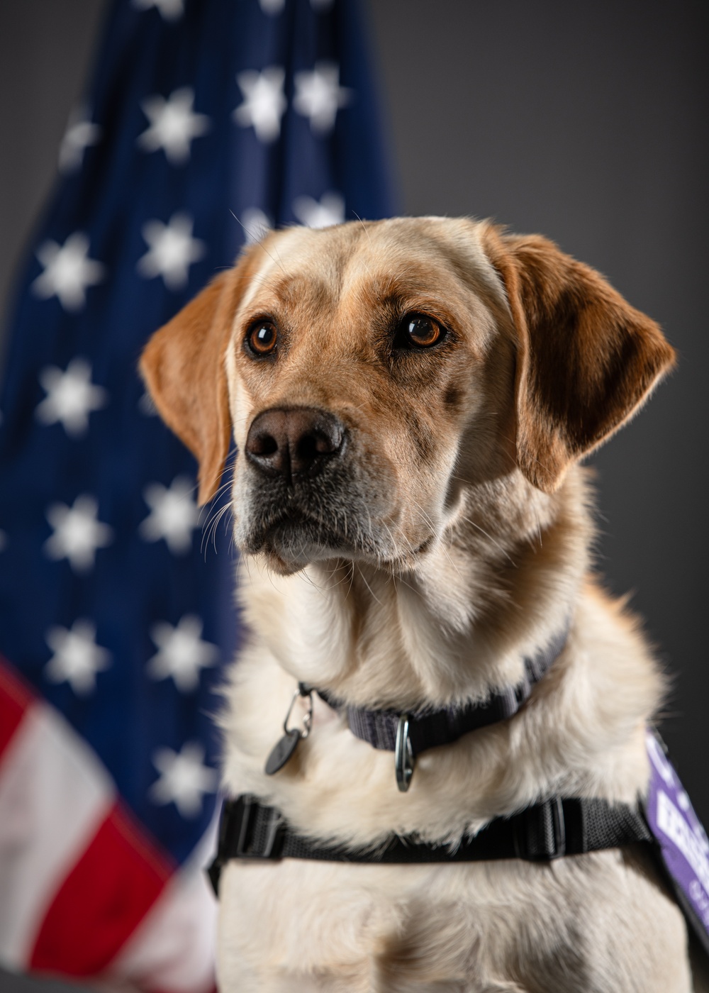 114th Fighter Wing’s new therapy dog lends a pawsitive touch