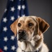 114th Fighter Wing’s new therapy dog lends a pawsitive touch
