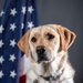 114th Fighter Wing’s new therapy dog lends a pawsitive touch