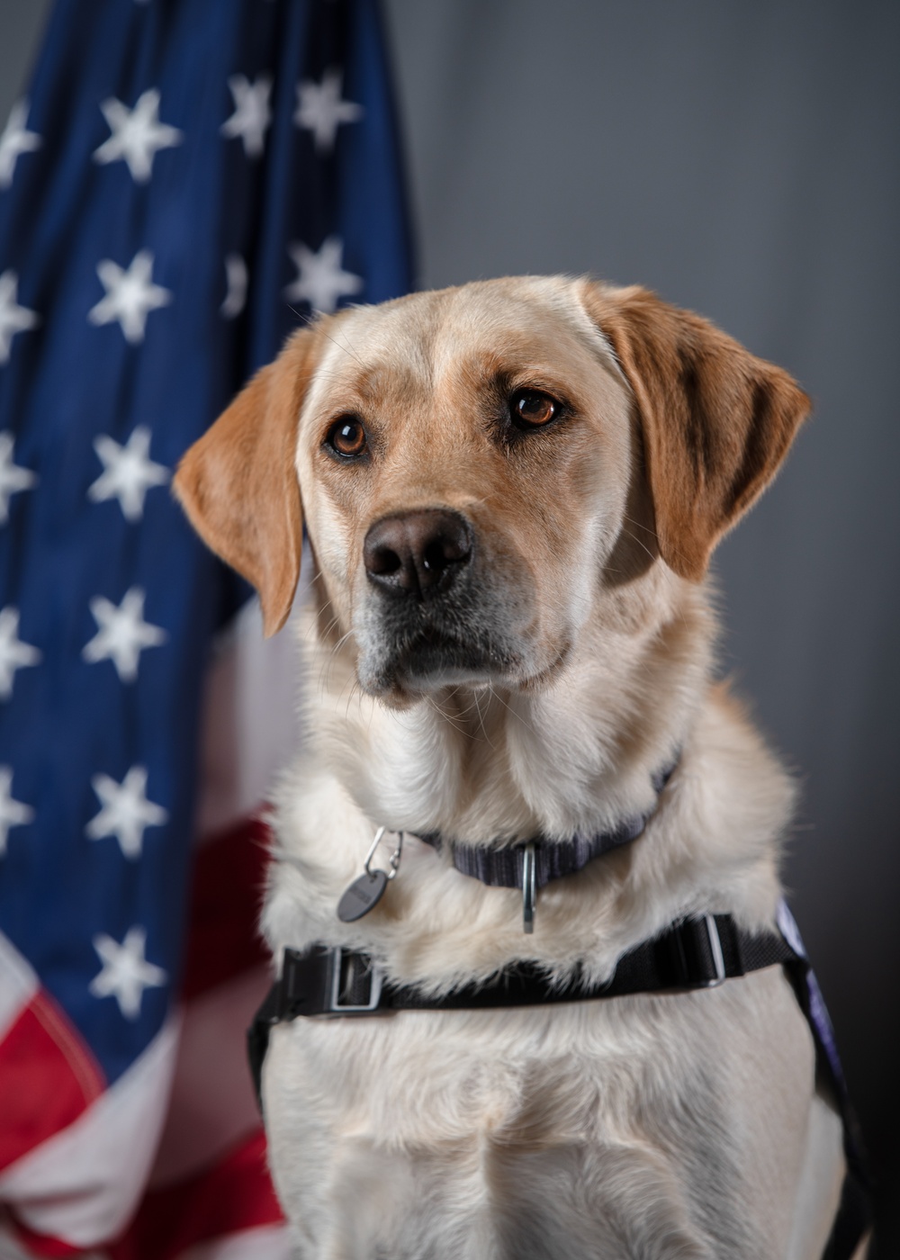 114th Fighter Wing’s new therapy dog lends a pawsitive touch