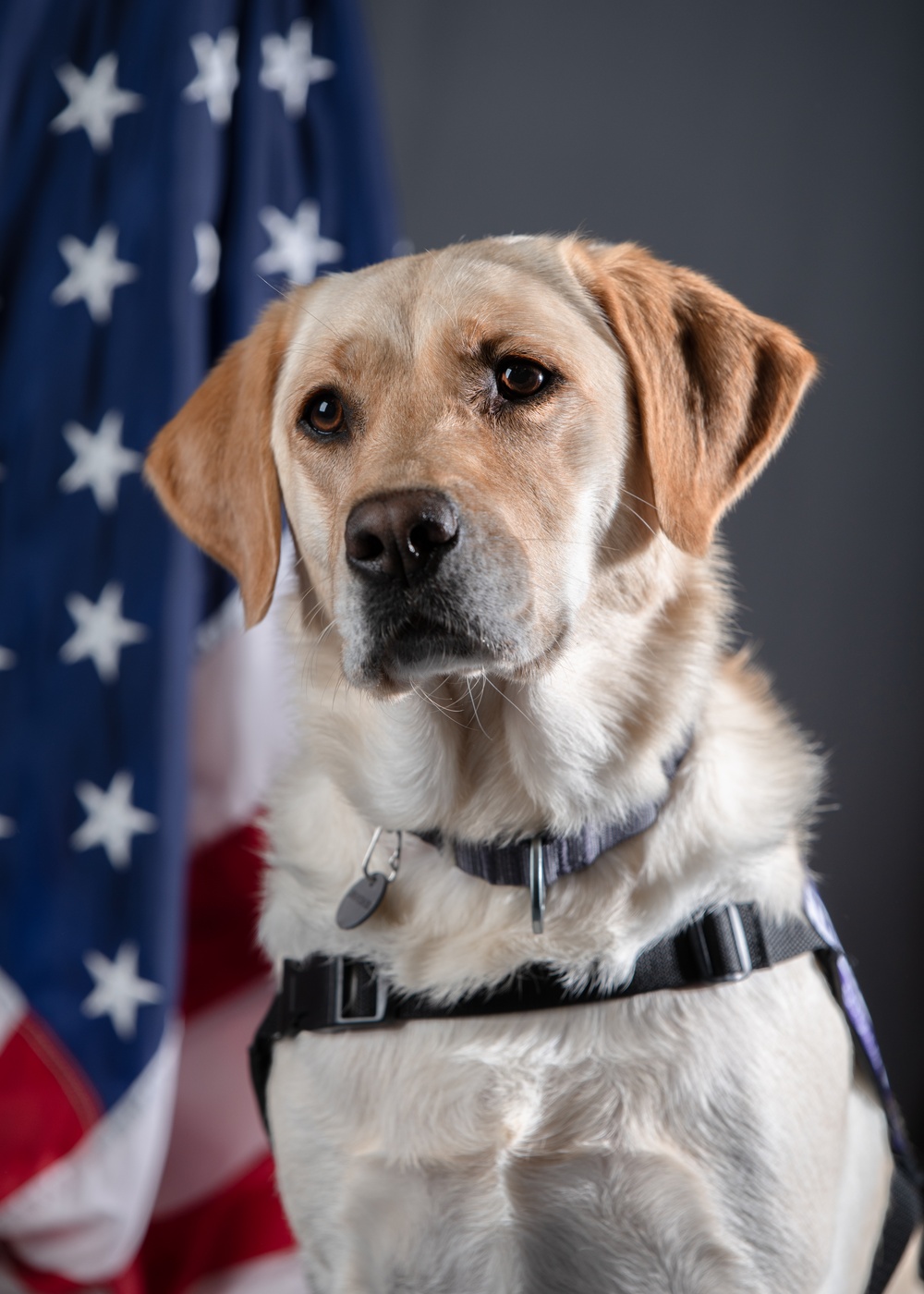 114th Fighter Wing’s new therapy dog lends a pawsitive touch