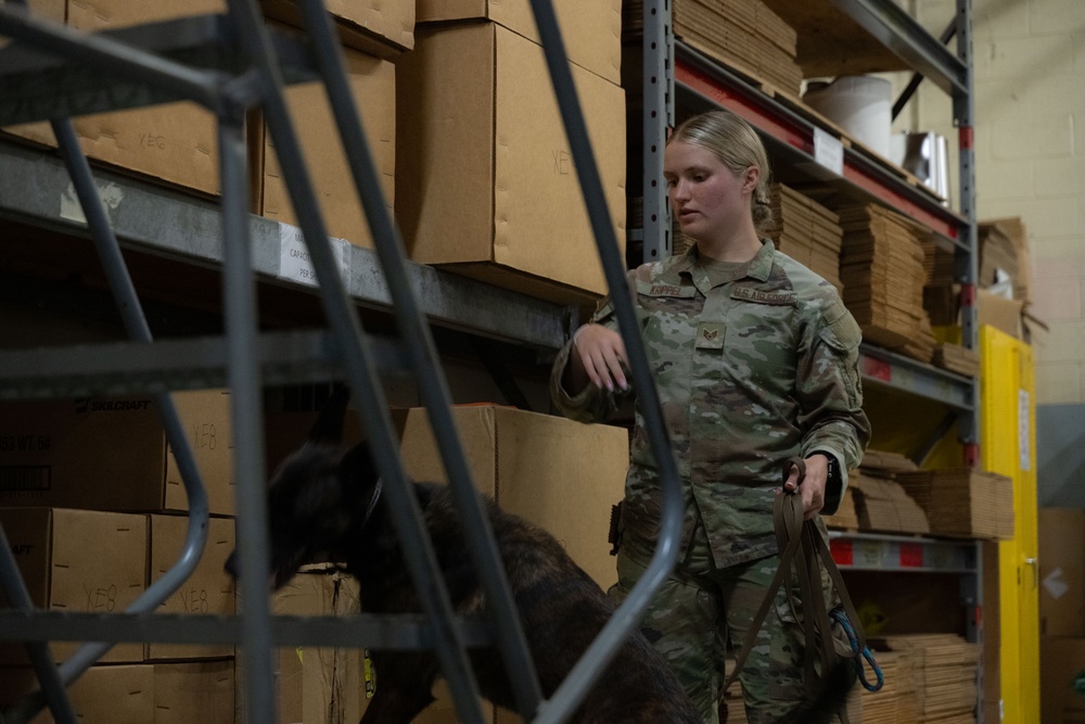 Winnin’ like a Griffin: Staff Sgt. Alexis S. Krippel