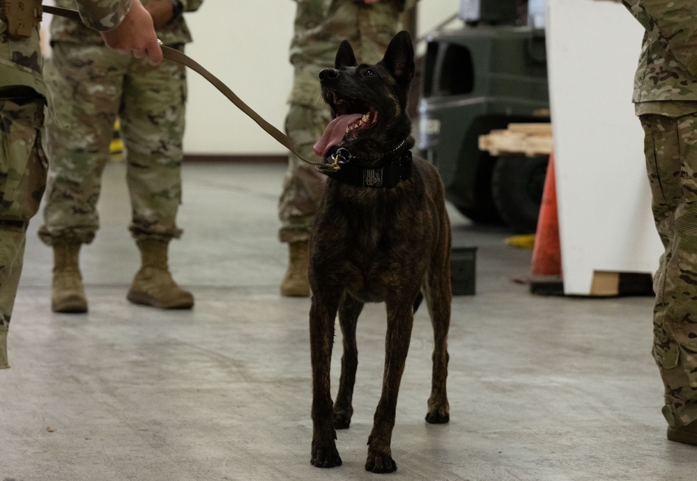Winnin’ like a Griffin: Staff Sgt. Alexis S. Krippel