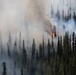 Alaska Army National Guard aviators help fight Alaska wildfires