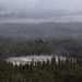 Alaska Army National Guard aviators help fight Alaska wildfires