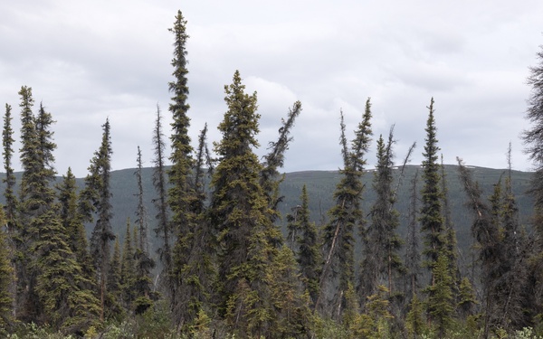 Alaska Army National Guard aviators help fight Alaska wildfires