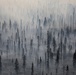 Alaska Army National Guard aviators help fight Alaska wildfires