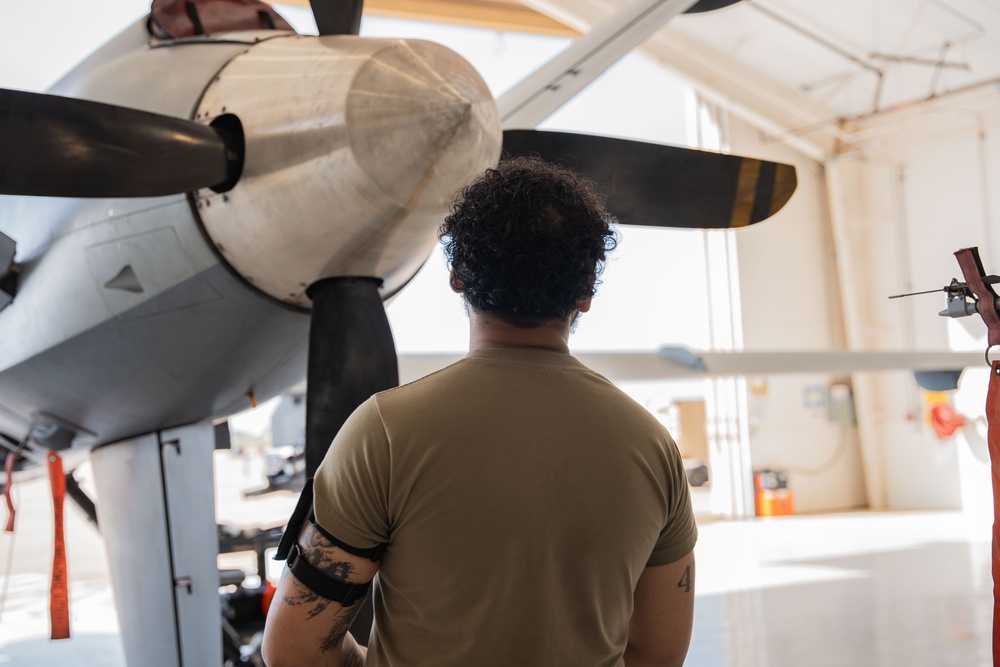 Aircraft Armament Systems