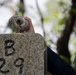 B-29 Memorial Ceremony honors Airmen, deepens US–Japan bonds