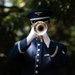B-29 Memorial Ceremony honors Airmen, deepens US–Japan bonds