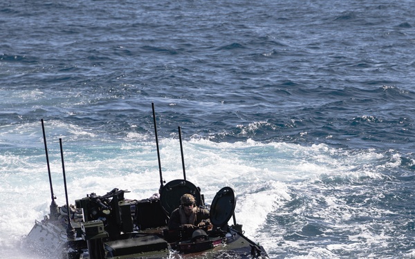 31st MEU | ACVs conduct Amphibious Operations