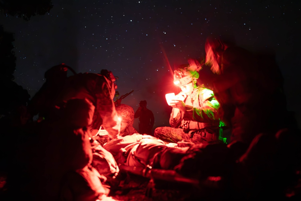 31st MEU | BLT 1/7 conducts night TRAP exercise