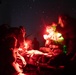 31st MEU | BLT 1/7 conducts night TRAP exercise