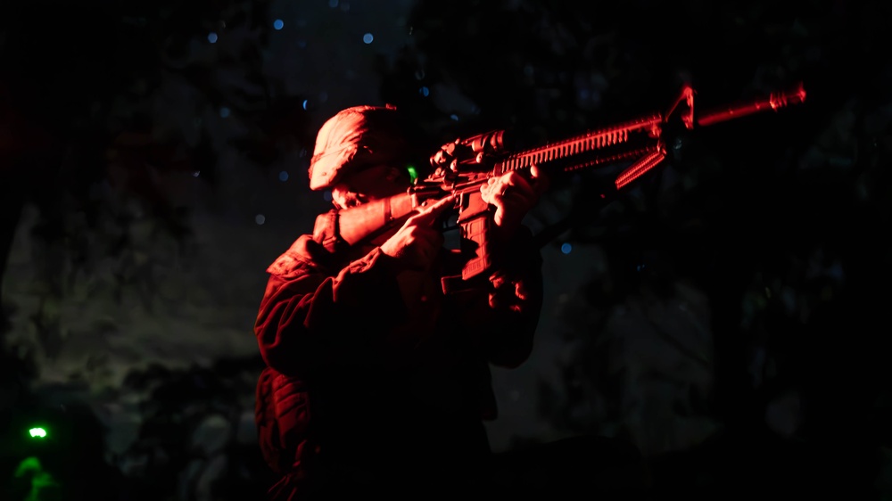 31st MEU | BLT 1/7 conducts night TRAP exercise