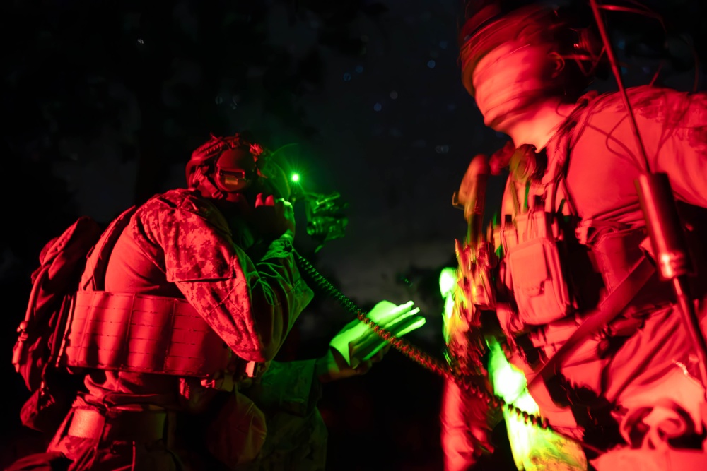 31st MEU | BLT 1/7 conducts night TRAP exercise