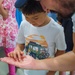 Bugapalooza 2025