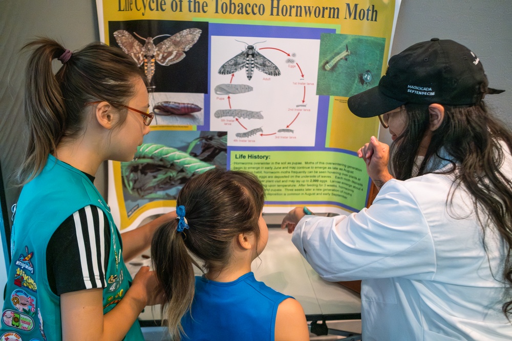 Bugapalooza 2025