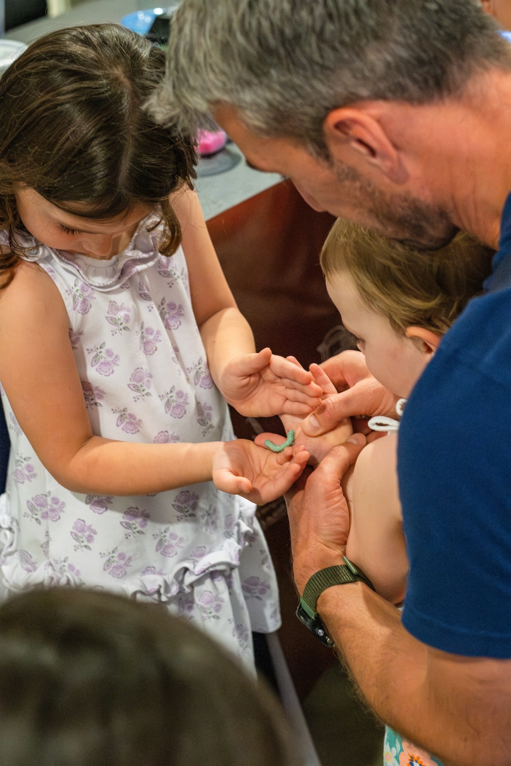 Bugapalooza 2025