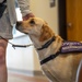 114th Fighter Wing’s new therapy dog lends a pawsitive touch