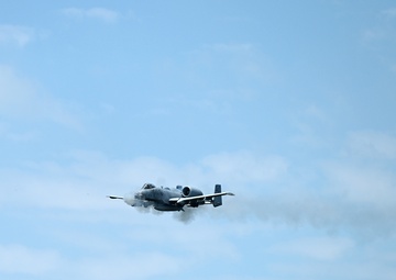 Thunderbolts strike at Poinsett Range