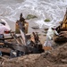 USACE supports Wildfire Debris Removal in Southern California
