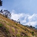 USACE supports Wildfire Debris Removal in Southern California