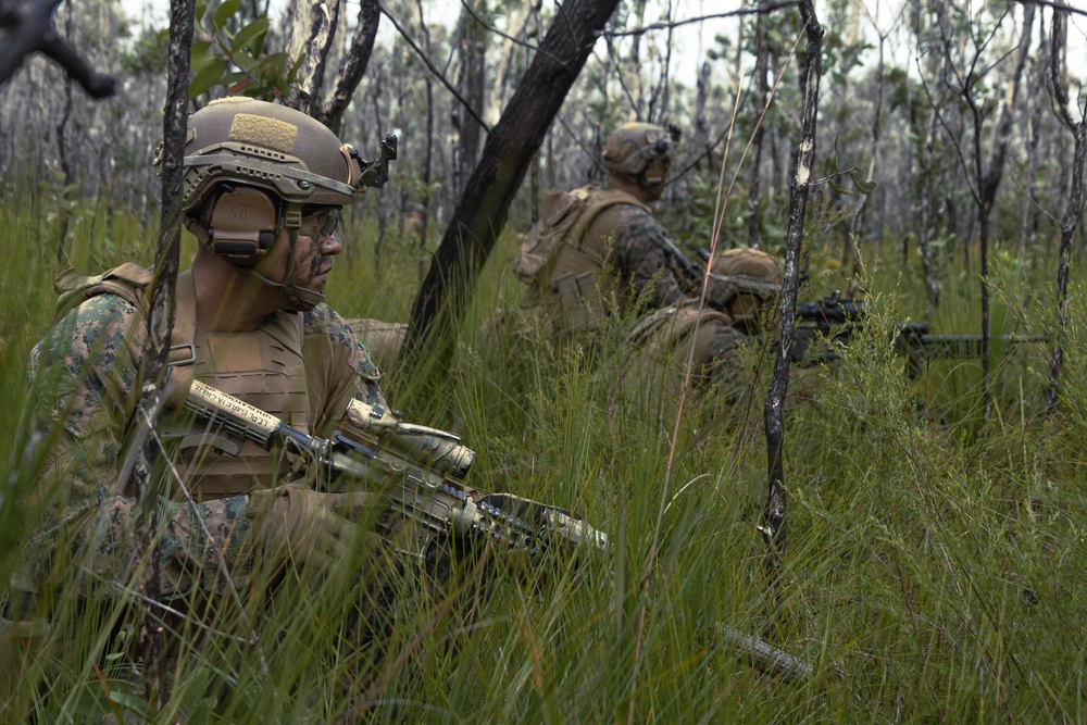 31st MEU | Animal Co. BLT 1/7 conducts simulated Helo Raid