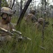 31st MEU | Animal Co. BLT 1/7 conducts simulated Helo Raid