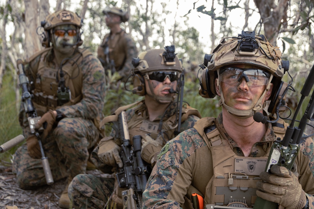 31st MEU | Animal Co. BLT 1/7 conducts simulated Helo Raid