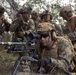 31st MEU | Animal Co. BLT 1/7 conducts simulated Helo Raid