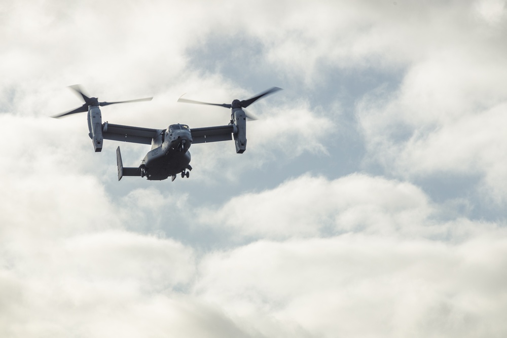 31st MEU | Animal Co. BLT 1/7 conducts simulated Helo Raid