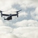 31st MEU | Animal Co. BLT 1/7 conducts simulated Helo Raid