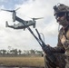 31st MEU | Animal Co. BLT 1/7 conducts simulated Helo Raid