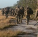 31st MEU | Animal Co. BLT 1/7 conducts simulated Helo Raid