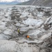 Operation Colony Glacier
