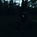 RTI ALC Course Conducts a Night Time Reconnaissance STX lanes