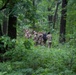 Security Forces Land Navigation Training in Wisconsin