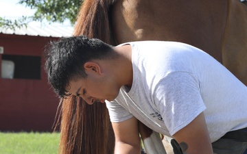 1st Division Cavalry Horse Detachment Daily Lives