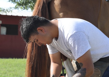 1st Division Cavalry Horse Detachment Daily Lives