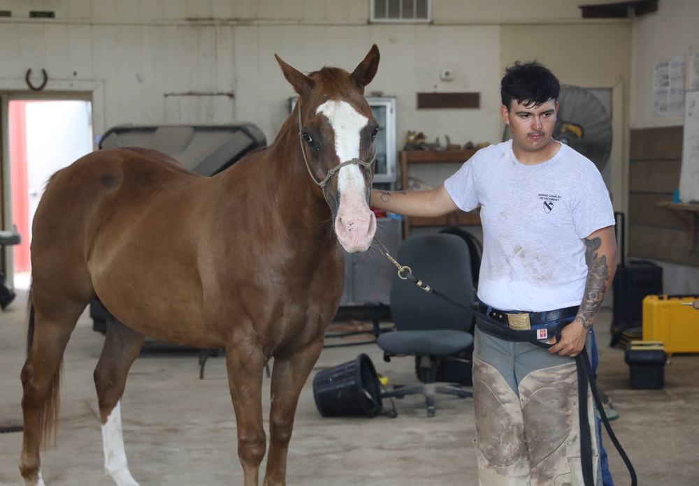 1st Division Cavalry Horse Detachment Daily Lives