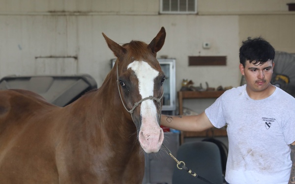 1st Division Cavalry Horse Detachment Daily Lives