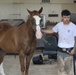 1st Division Cavalry Horse Detachment Daily Lives