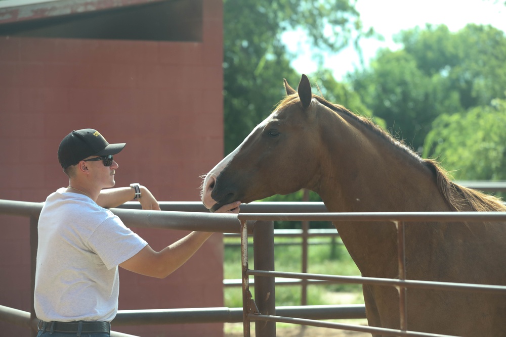 1st Division Cavalry Horse Detachment Daily Lives