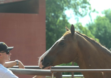 1st Division Cavalry Horse Detachment Daily Lives