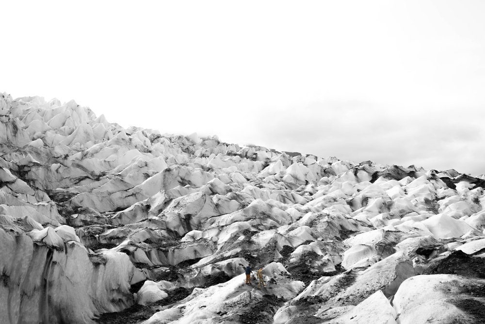 Operation Colony Glacier 2025