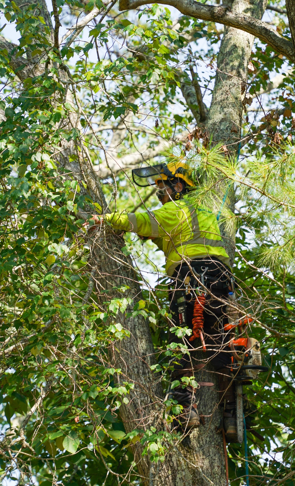 Crews support the Personal Property Debris Removal (PPDR) mission after Hurricane Helene