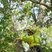 Crews support the Personal Property Debris Removal (PPDR) mission after Hurricane Helene